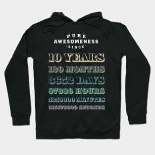 10 Years Pure Awesomeness Birthday Gift Boys Girls Hoodie